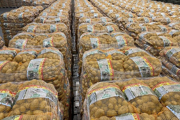 Übergang Konsumkartoffel- und Zwiebelgeschäft zur HNG Übergang Konsumkartoffel- und Zwiebelgeschäft zur HNG