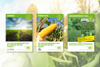 Mais-Saatgut Frühjahr 2023 und Zwischenfrüchte Ernte 2023