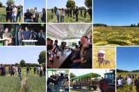 Gut besuchte Sortendemo in Clenze Gut besuchte Sortendemo in Clenze