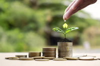 Markttendenzen im Juli Markttendenzen im Juli