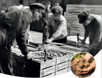 Europlant Frühkaufaktion