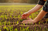 Jetzt die Herbizidbehandlung planen!