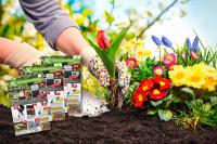 Toller Start ins Gartenjahr!