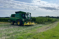 Winterhanf wird vorerst nicht fortgeführt Winterhanf wird vorerst nicht fortgeführt