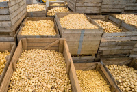 Helle Niedersachsen GmbH Helle Niedersachsen GmbH